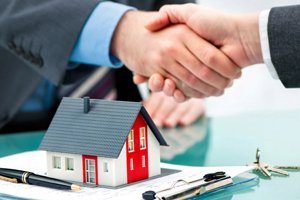 Intellectual Property